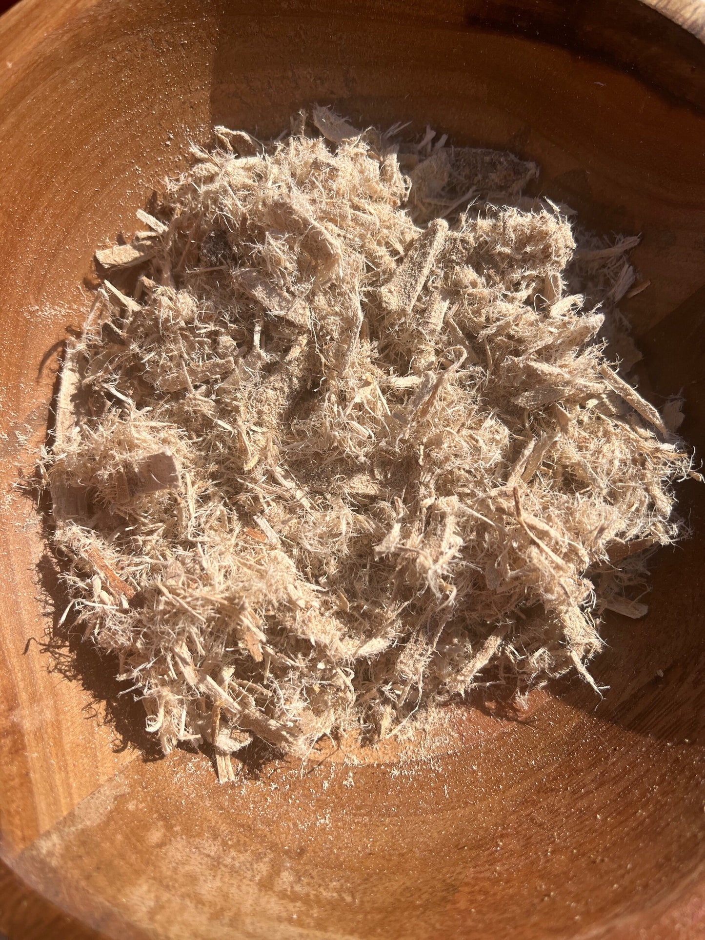 Slippery Elm (Ulmus rubra)