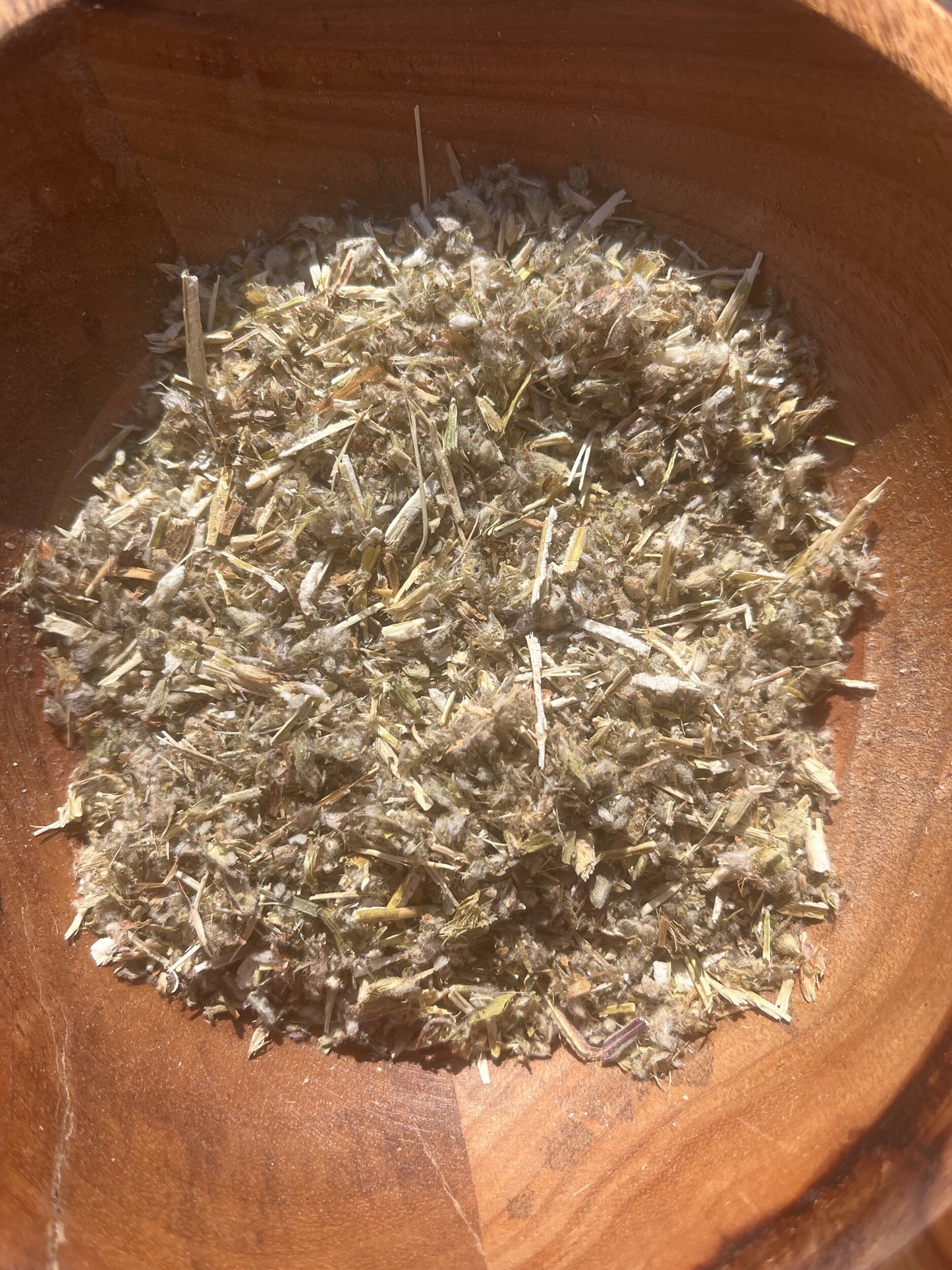 Horehound (Marrubium vulgare)