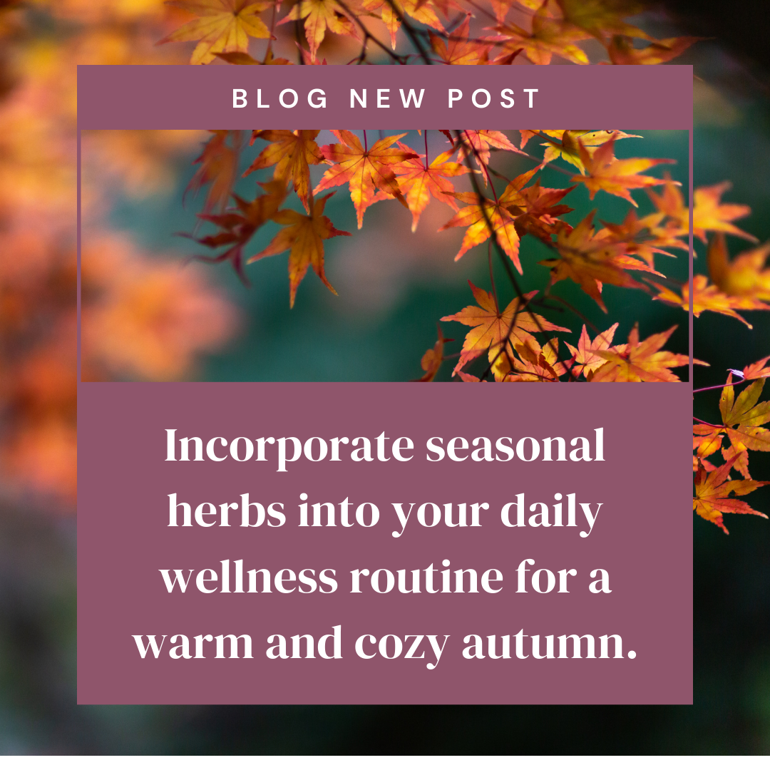 Incorporate seasonal herbs into your daily wellness routine for a warm and cozy autumn.