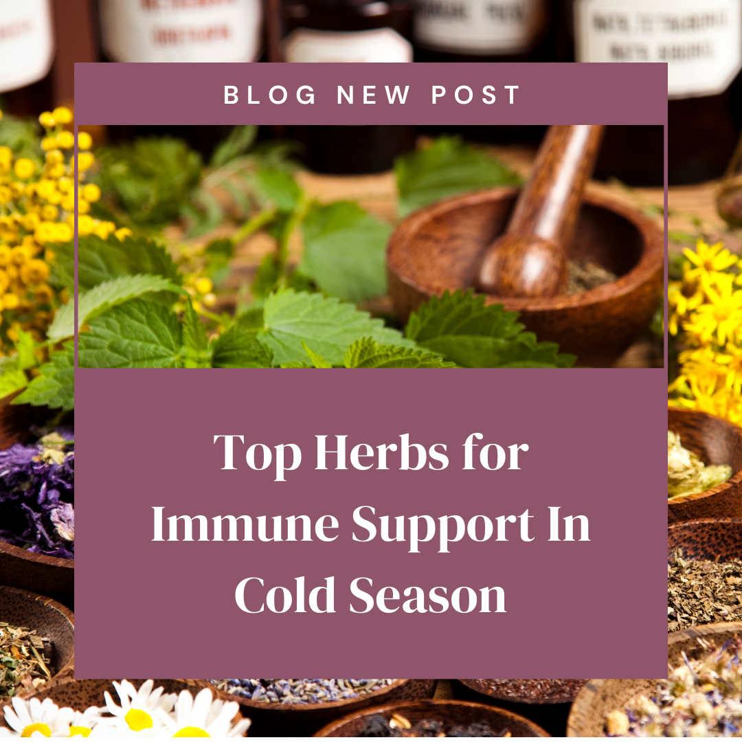Top Herbs for Immune Support in Cold Seasons