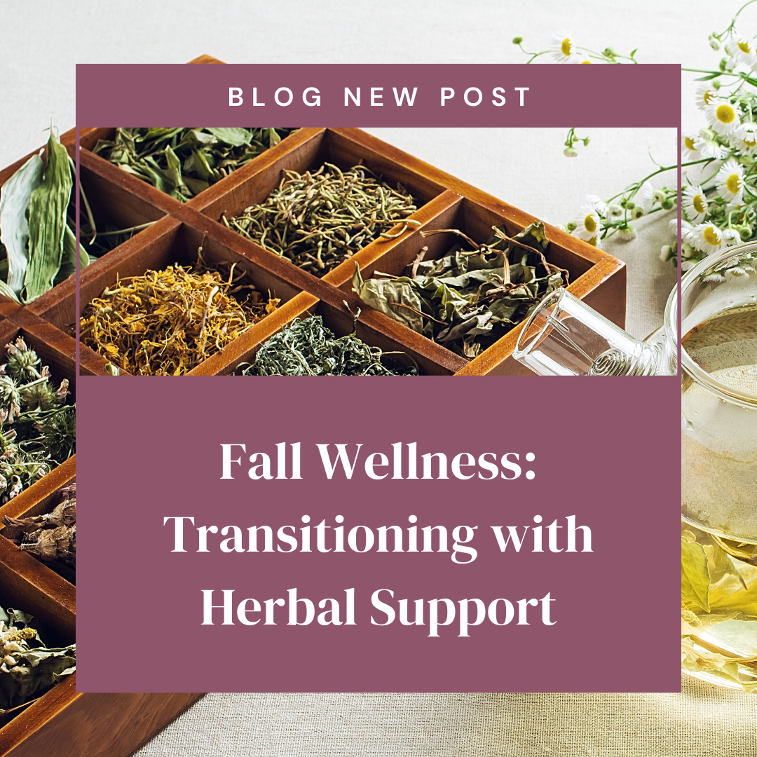 Fall Wellness: Transitioning with Herbal Support