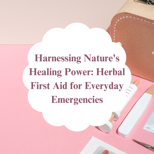 Harnessing Nature's Healing Power: Herbal First Aid for Everyday Emergencies