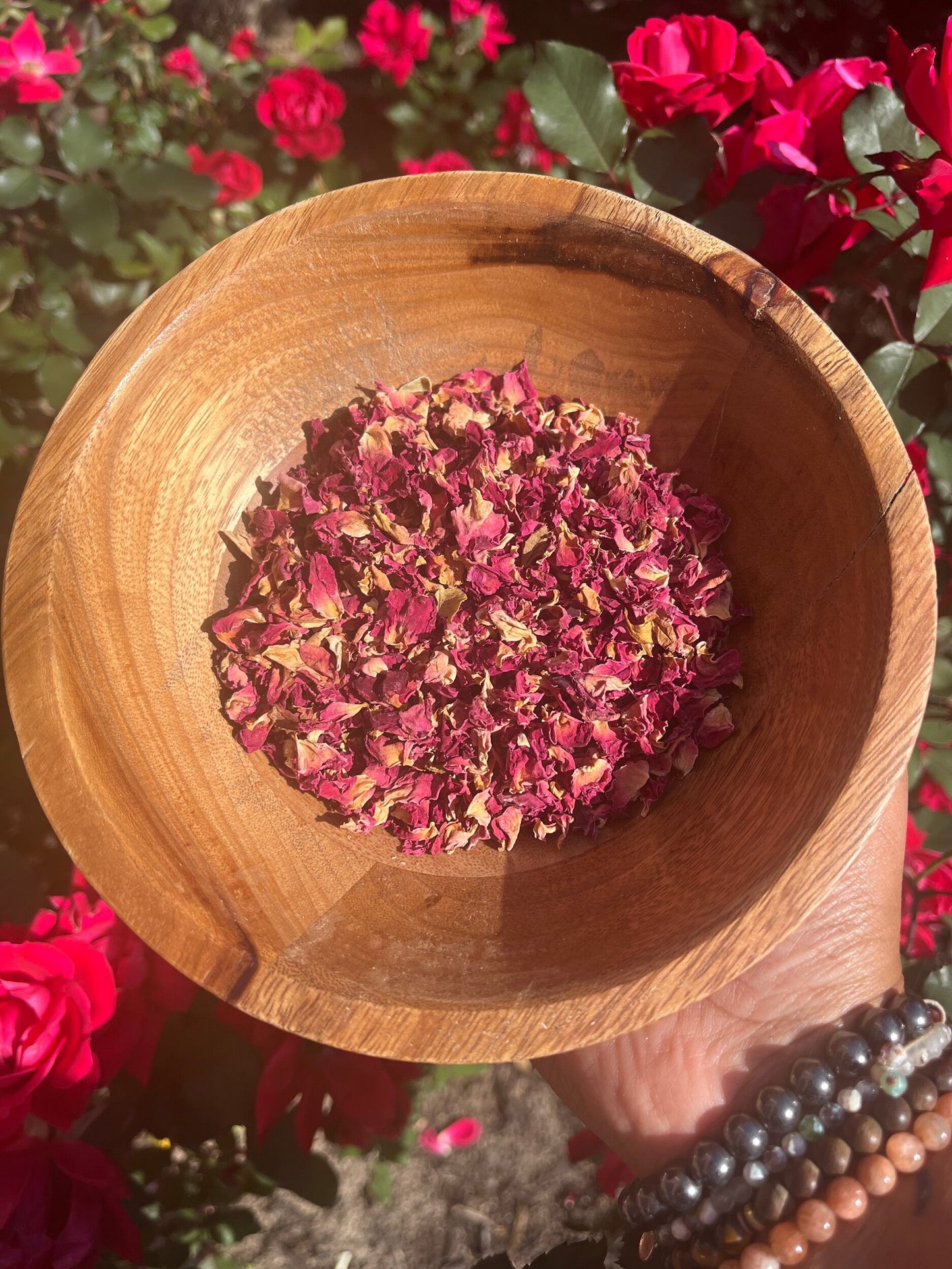 Rose Petals